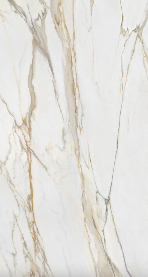 Plan Calacatta Gold - vue 4