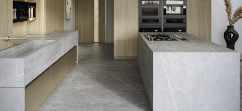 Plan mystique grey