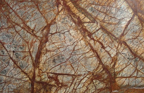 Plan Rain Forest Brown - vue 2